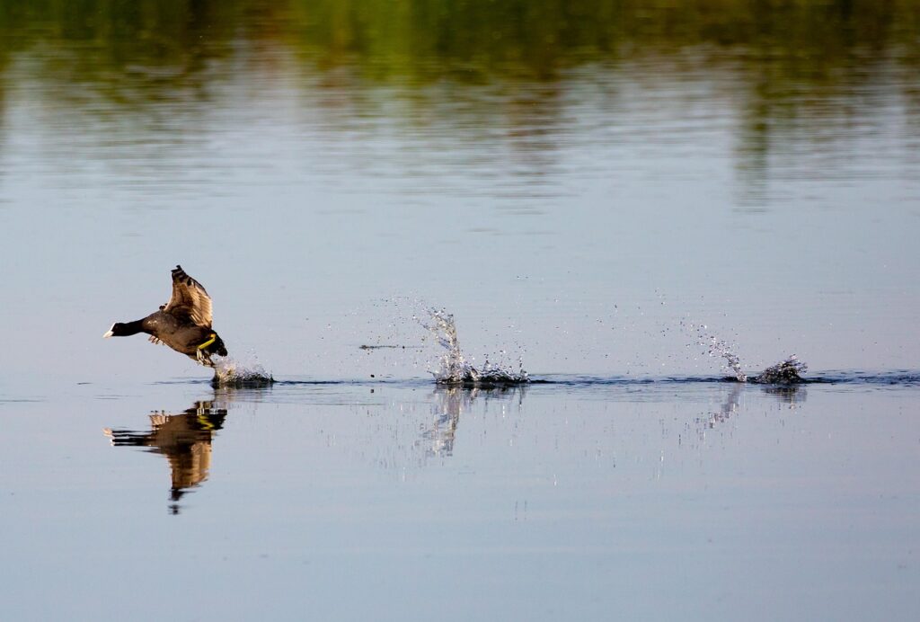 格安スマホの学割はどのように活用できるの？