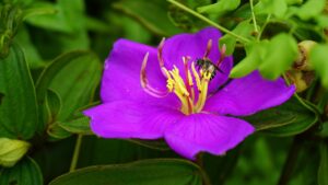 端末セットでお得に利用できる格安SIMの選び方は？