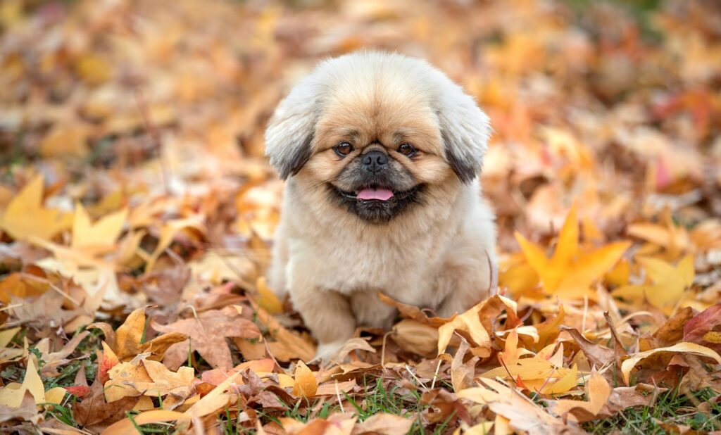 スマホ学割を利用するメリットと注意点は？