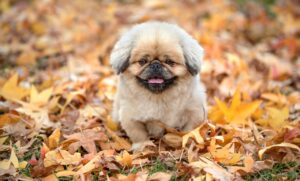 スマホ学割を利用するメリットと注意点は？