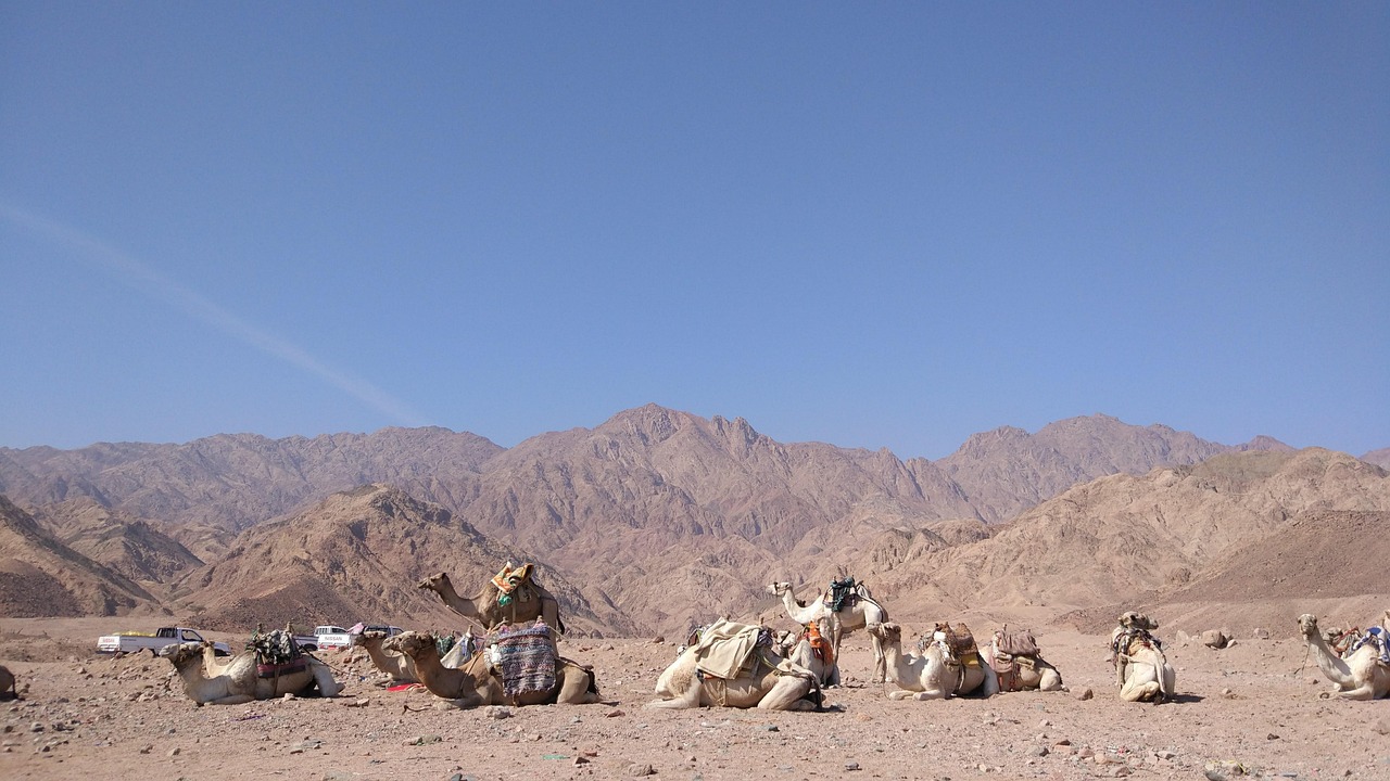 海外でのデータ通信に最適なSIMの選び方は？