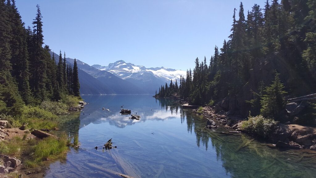 格安SIMの基本料金が0円で近いプランはどれですか？